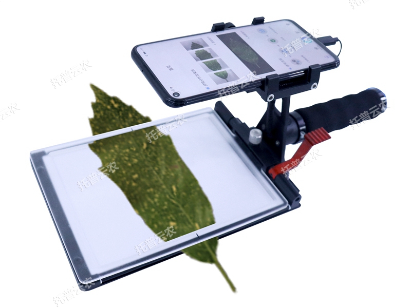 活體葉面積測量儀 YMJ-D